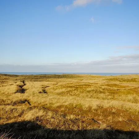 Thisted Torsted (Nordjylland)